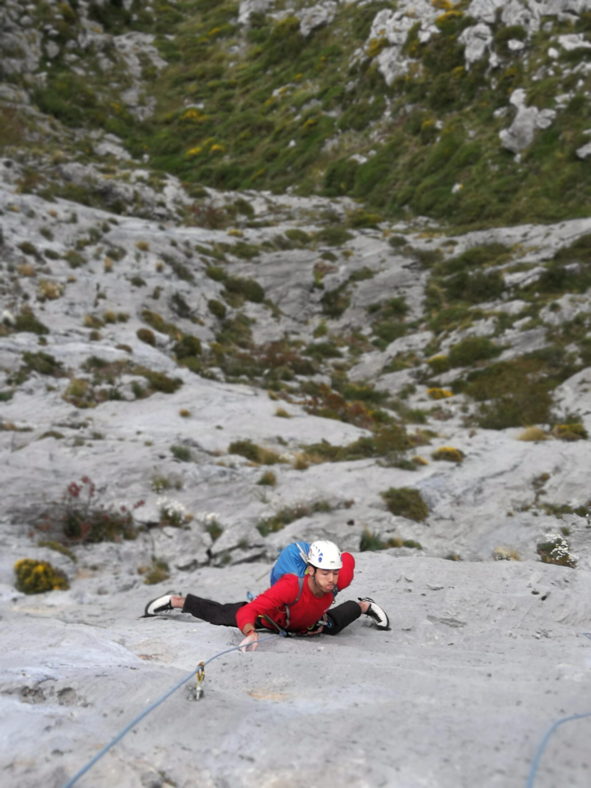 guia picos de europa