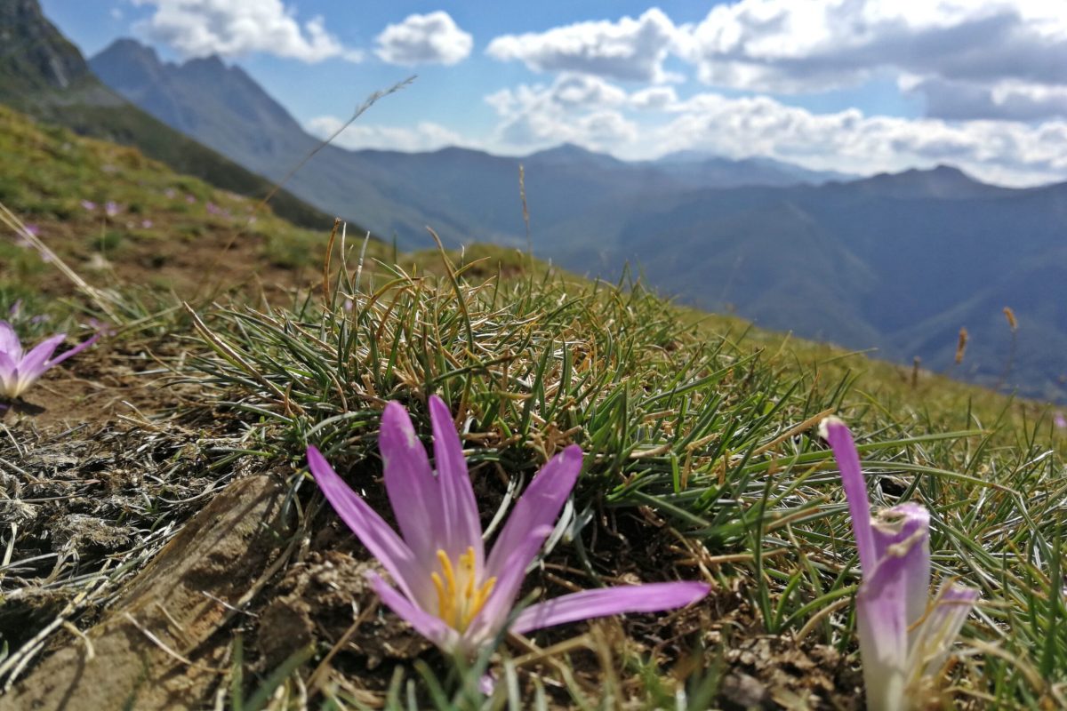 Picos de Europa hiking