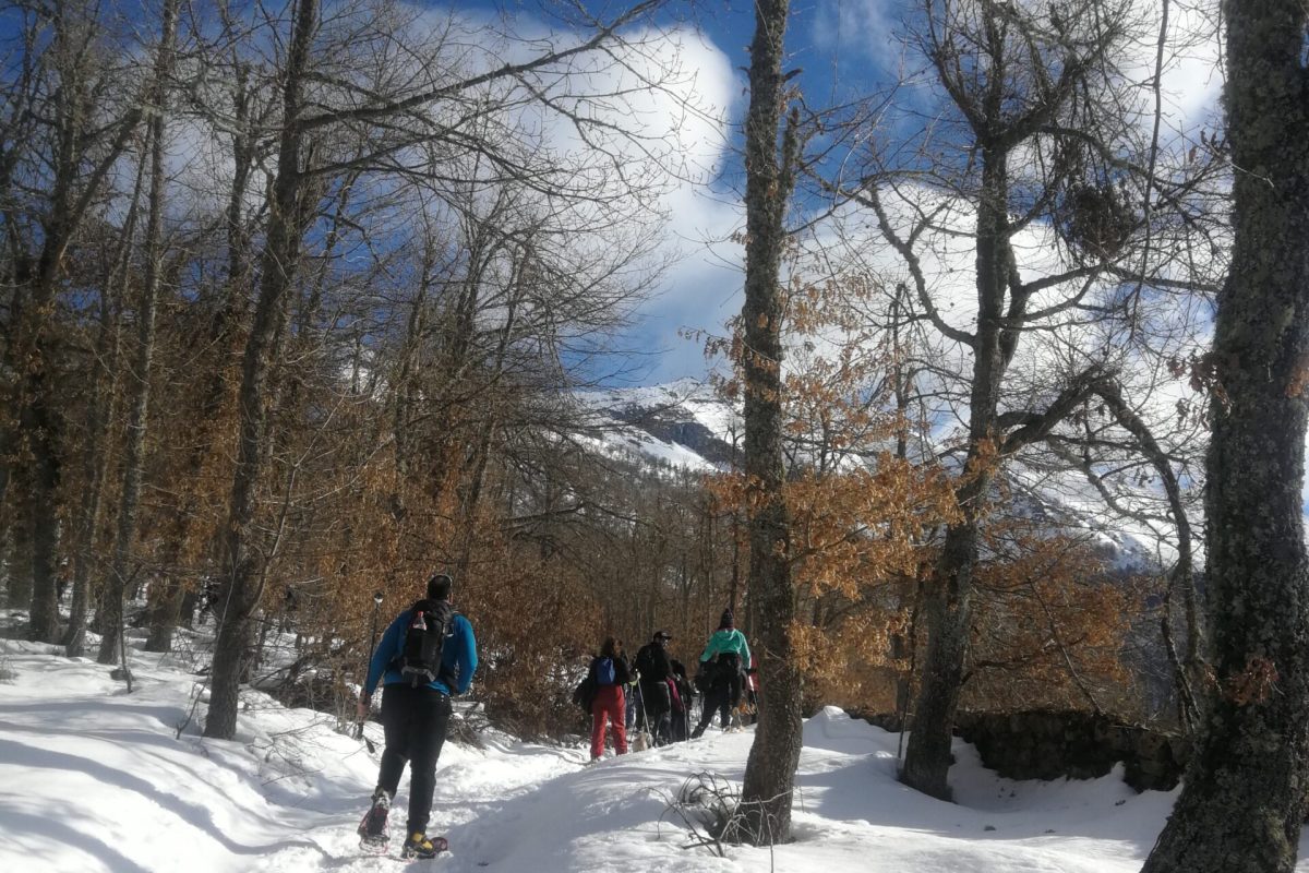 ruta raquetas Picos de Europa