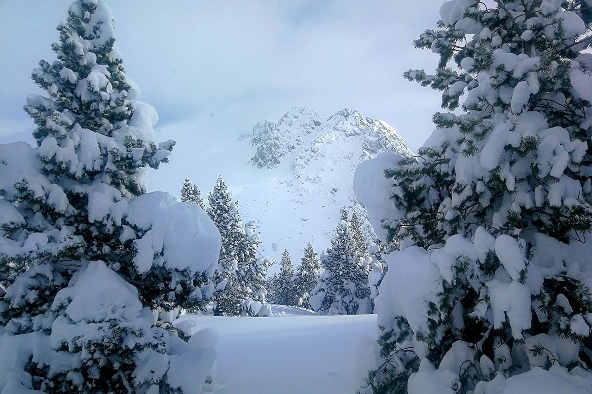 Raquetas-de-Nieve-Liebana-2